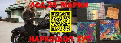 прущие грибы Можайск