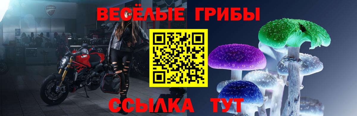 наркота  Вход с VPN  Великий Устюг  Псилоцибиновые грибы прущие грибы 
